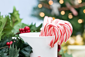 Candy canes in a cup